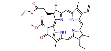Ethyl pheophorbide A